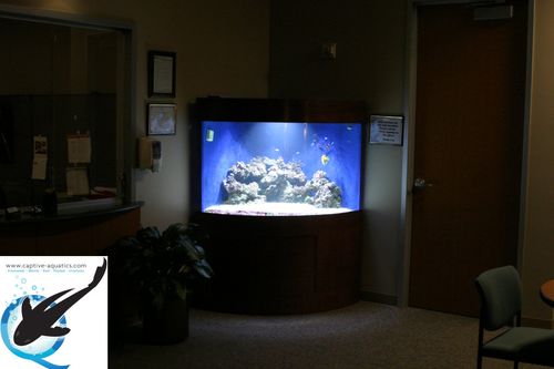 Captive-aquatics-custom-acrylic-aquarium-installation-the-woodlands-memorial-herman