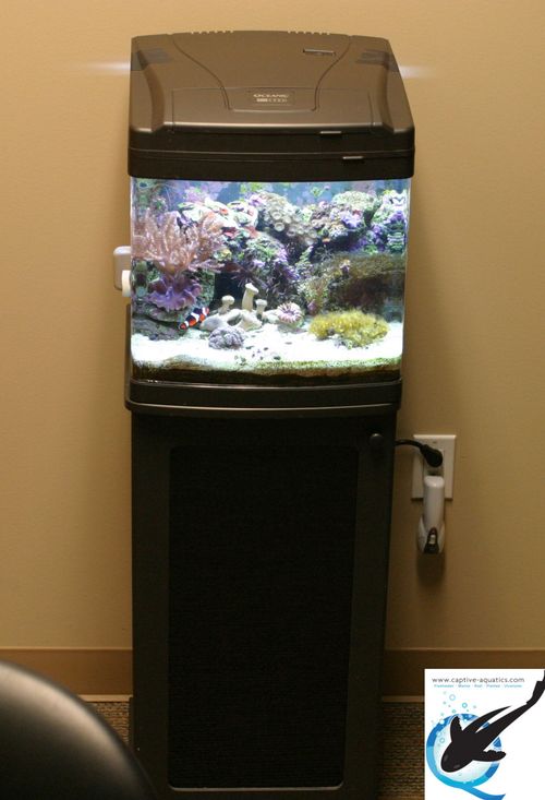 Captive-aquatics-nano-reef-aquarium-design-installation-the-woodlands-texas-memorial-herman