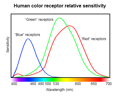 Human-eye-color-receptor-chart