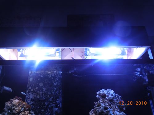 Metal halide aquarium outlet light