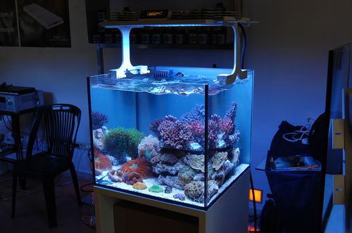 Xaqua-nano-reef-led-reef-aquarium-light