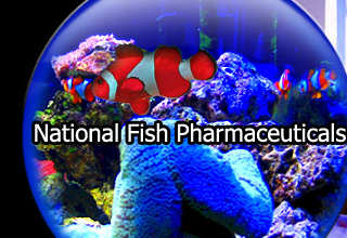 Nation Fish Pharmaceuticals