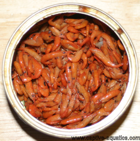 Seachem_nutridiet_river_shrimp_can