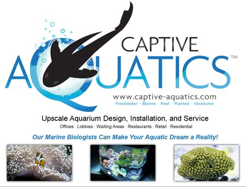Captive_aquatics_aquarium_design_service_installation_ad