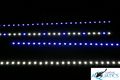 Ecoxotic_reef_aquarium_led_lighting_stunner_strips_lit