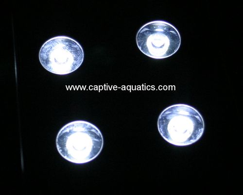 Led_reef_aquarium_lighting_jbj_nano_glo_refugium_captive_aquatics_review