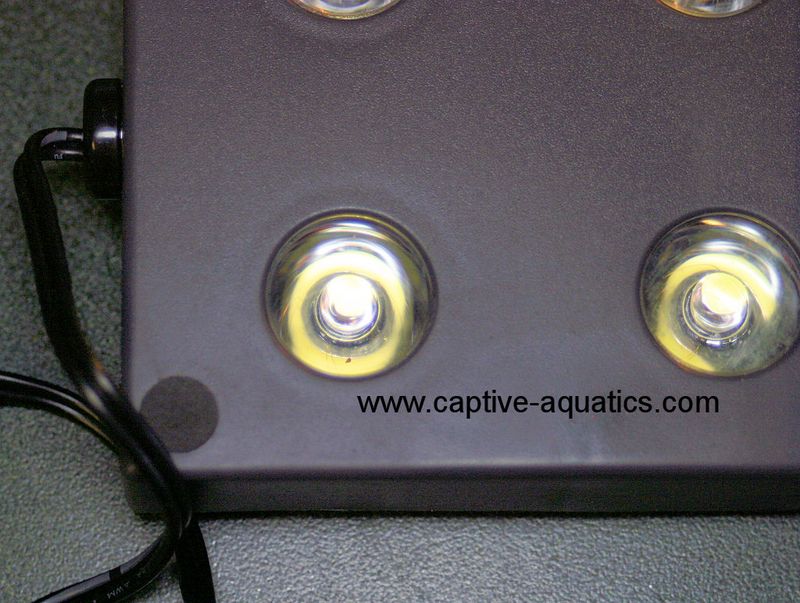 Jbj_lighting_nano_glo_saltwater_aquarium_led_lighting_closeup