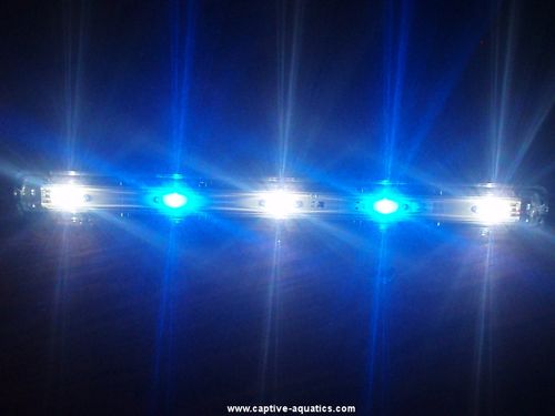 Aquaray_led_reef_aquarium_lighting_strip_cree_xre_royal_blue_white_2