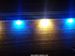 Aquaray_led_reef_aquarium_lighting_strip_cree_xre_royal_blue_white_1