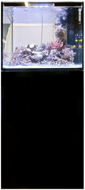 Elos_midi_aquarium_price