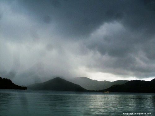 Panorama-virgin-islands