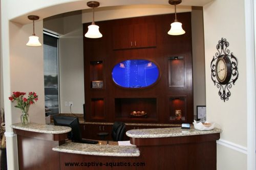 Captive_aquatics_custom_aquarium_houston_teethwise_dental