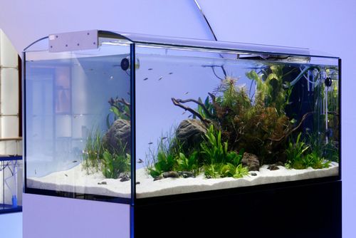 Elos_led_aquarium_lighting_espot_xl