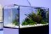 Elos-usa-aquarium-lighting-aquatop-estripe