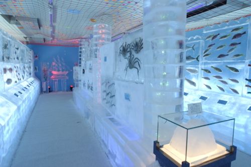 Japan-ice-museum-frozen-aquarium-4
