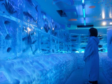 Japan-ice-museum-frozen-aquarium