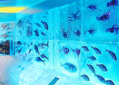 Japan-ice-museum-frozen-aquarium