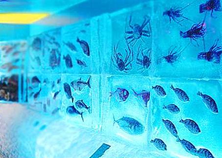 Japan-ice-museum-frozen-aquarium-3