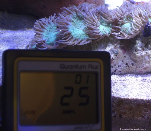 Apogee-reef-aquarium-light-measurement-par-meter-closeup