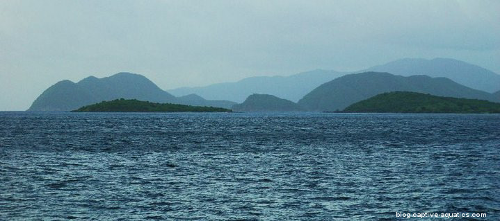 Panorama-virgin-islands