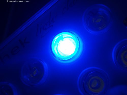 Orphek_pr_156_reef_aquarium_led_light_for_deep_water_reef_aquariums15