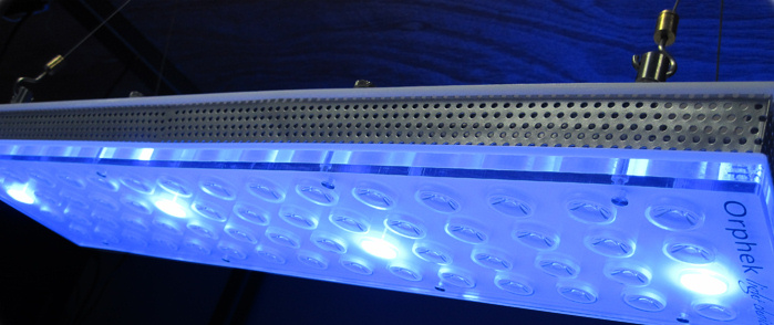 Orphel_led_reef_aquarium_light_suspended