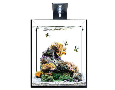 Eco-pico-led-aquarium