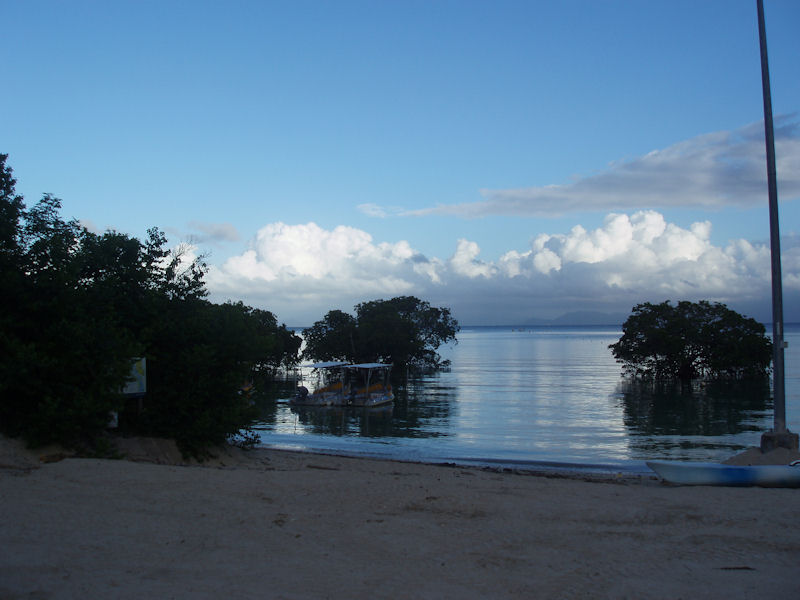 Mangroves2