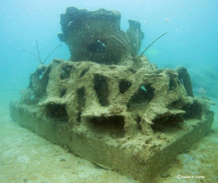 Singer island dive